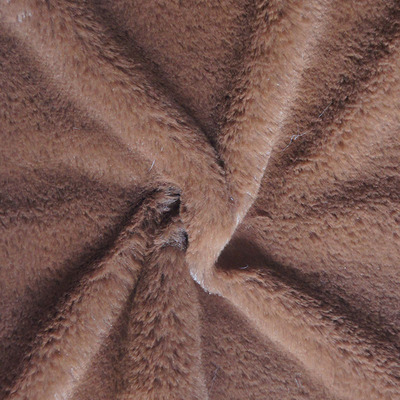 DSC03204